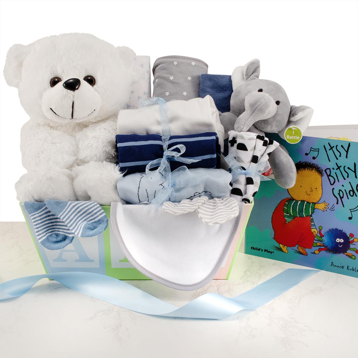 First Time Home Baby Boy Gift Basket