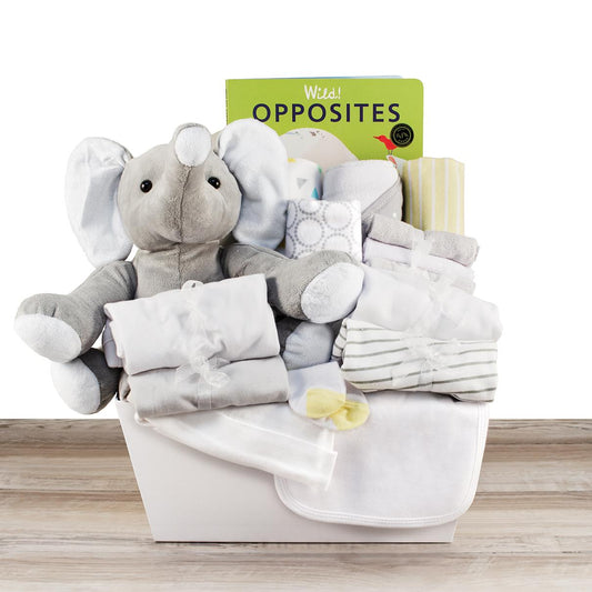 First Time Home Baby Large Gift Basket