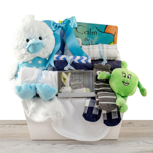 Pampering Baby Boy Gift Basket