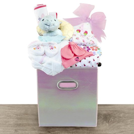 Baby Girl's Playtime Wardrobe Gift Basket