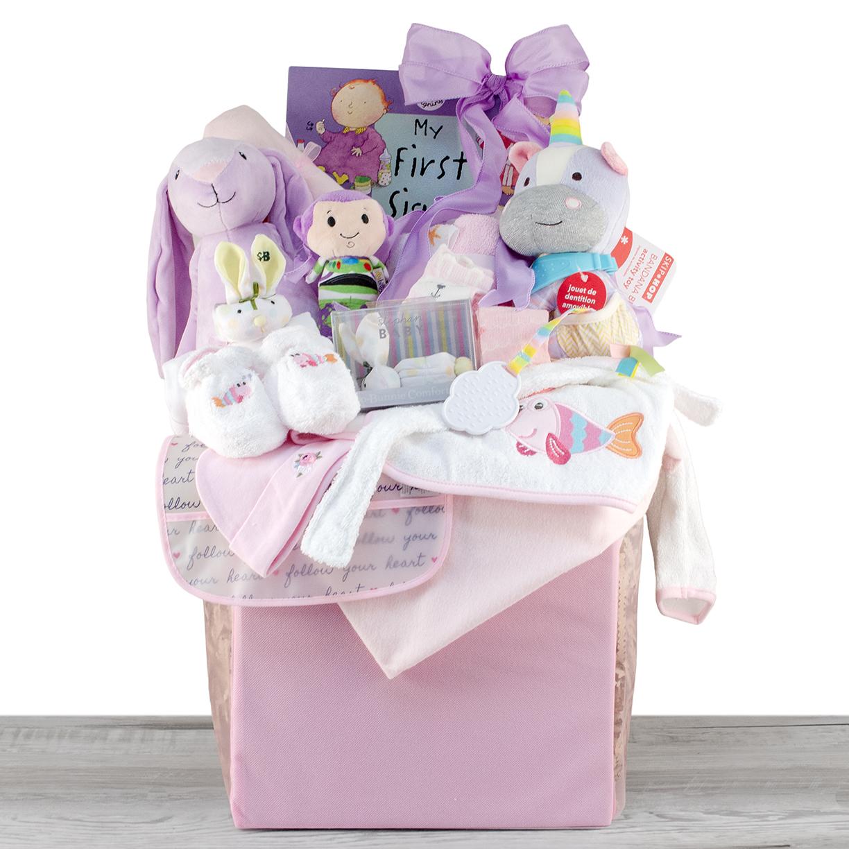 New Baby Girl Gift Basket Bundle