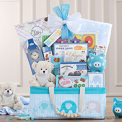 Bundle of Joy: Baby Boy Gift Basket