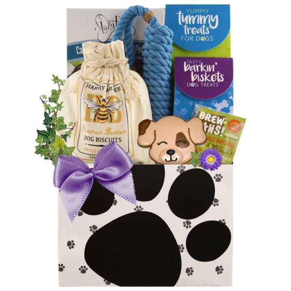 Treats Ahoy Dog Gift